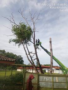 Potong/tebang pokok,bersih kawasan, tong roro