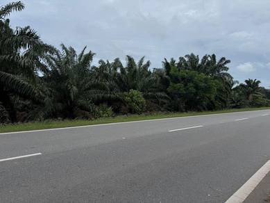 Simpang Rengga Agriculture Land For Sale