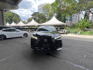Lexus NX250 2.5 LUXURY S/R H/U Dis 360 P/Shif