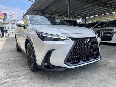 Lexus NX 250 2.5 LUXURY (A) P.Roof Mark Levin