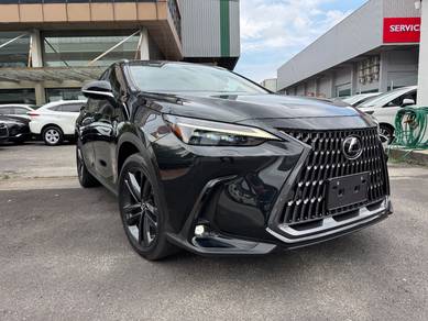 Lexus NX 250 2.5 LUXURY FULL SPEC