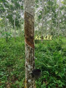 5.03 Acres Agricultural Land For Sale | Sauk |Perak