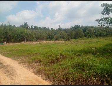 Pekan Selandar