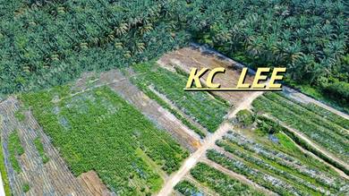 8.54 Acres Agricultural Land | Sungai Kechil | Nibong Tebal , Penang