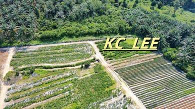 8.54 Acres Agricultural Land | Sungai Kechil | Nibong Tebal , Penang