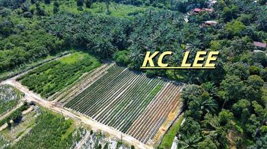 8.54 Acres Agricultural Land | Sungai Kechil | Nibong Tebal , Penang