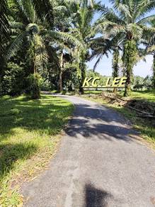 8.54 Acres Agricultural Land | Sungai Kechil | Nibong Tebal , Penang