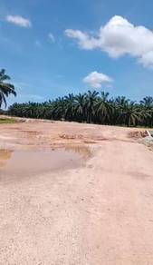 For Sale Ladang Sawit 2500 Acre @ Parit Raja Johor