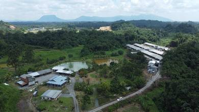 5acres Agriculture Land with access road For Rent, Kranji Bau