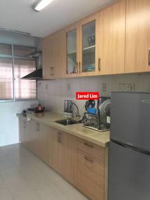 University Place Ivory Plaza Fully Furnished Seaview Gelugor near USM