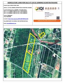 Agriculture Land By The Main Road For Sale- Jln Sg Lembing Kuantan Phg
