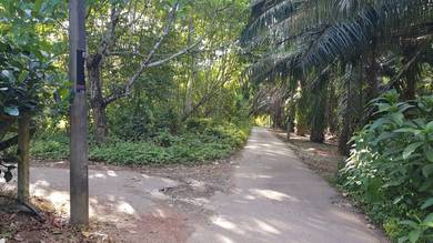 Non Bumi Bukit Selambau