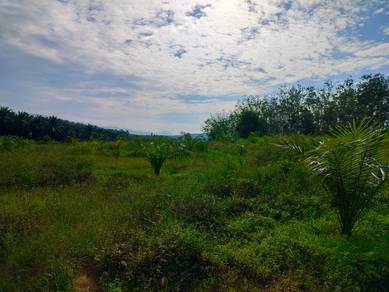 12 Relong Mix Lanai