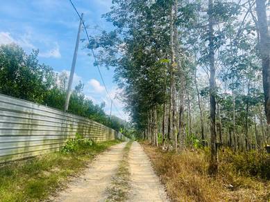 Tampin Durian land freehold two acre for sale cheap