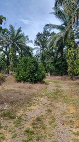 [Kluang] Tanah Pertanian Kg Sri Timur ‼️Freehold‼️