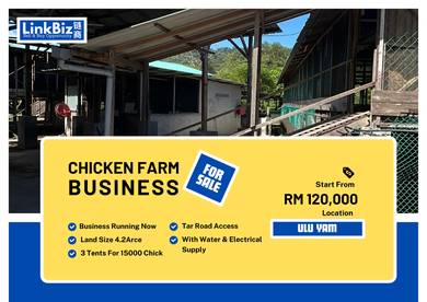 Chicken Farm Business