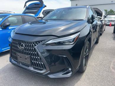 Lexus NX 250 2.5 LUXURY (A)