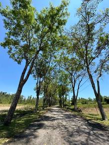 Y2 Flat Bungalow Land 7164sf Bkt Beruntung Country Golf Resort