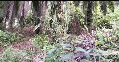 Gudang 4 prime land for sale