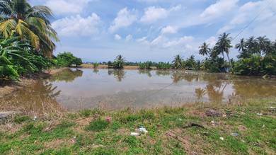 Bendang kuala sanglang perlis