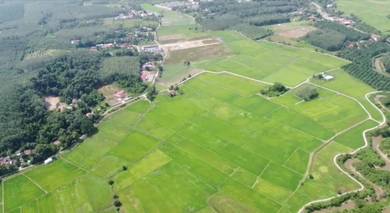 Tanah Bendang Murah - Kubur Panjang