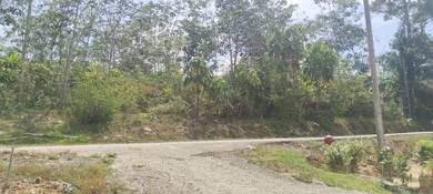 [Murah] [Nego] Tanah Pertanian 5 Ekar Lubok Cina Alor Gajah Melaka
