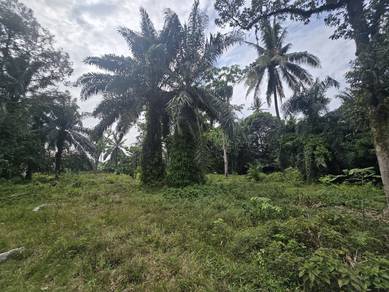 FREEHOLD, MURAH - Agricultural Land Sungai Rambai, Jenjarom
