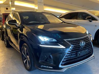 Lexus NX300 2.0L Spice & Chic Edition
