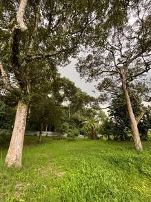 3.98 Ekar + Dusun + Banglo + Rumah Tradisional Kayu Jati
