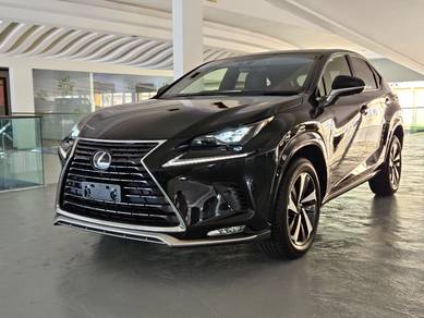 Lexus NX300 2.0 SPICE CHIC [4LED, AC SEATS]