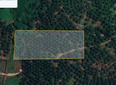 FOR SALE | BUKIT BATU Kulai | Tanah Pertanian 5 Ekar