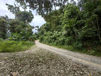 8.5 Acres Freehold Agriculture Land Tanjung Besar Benta Kuala Lipis