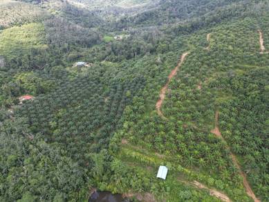 FREEHOLD 25 ACRES LAND TANAH Agricultural Dangi Johol Kuala Pilah N9