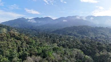 Road and river side land sungai in Pangsun Hulu Langat