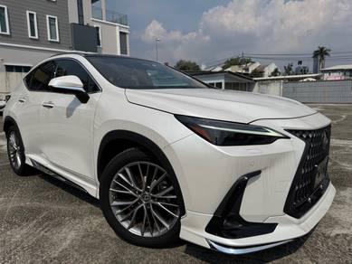 Lexus NX 250 Luxury - Mark Levinson - 5A