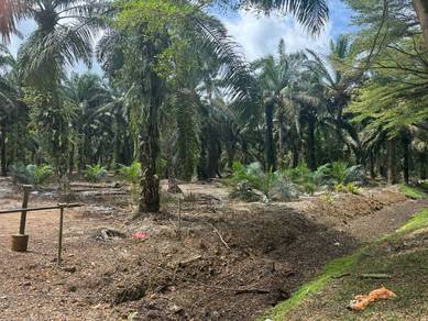 Freehold Pontian Land