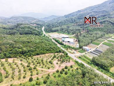 EASY ACCESS Durian Farm Kuala Kangsar FOR SALE