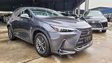 Lexus NX 250 2.5 LUXURY HUD BSM PCS PB Unreg