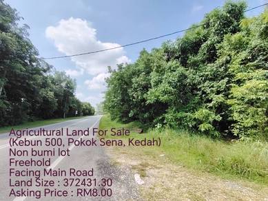 Agricultural Land For Sale