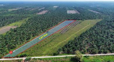 TANAH KELAPA SAWIT 2.87 EKAR (POKOK UMUR 2-3 Tahun)