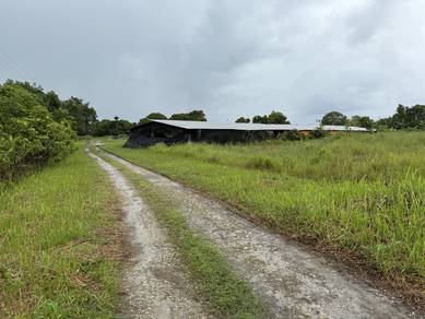 Lusut Agriculture Land with Warehouses