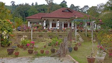 BANGLO CANTIK + RUMAH SEWA & Tanah di Pulau Santap, Janda Baik Pahang