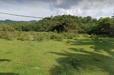 37 ACRE KULIM LAND, SIRA KULIM, Kedag