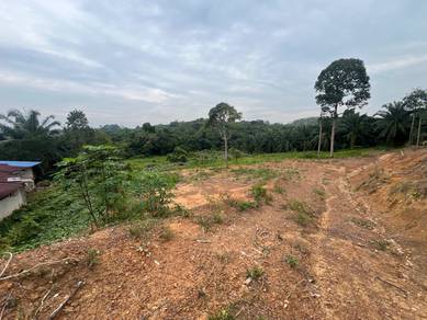 Tanah Temerloh Jaya-Boleh buat Rumah