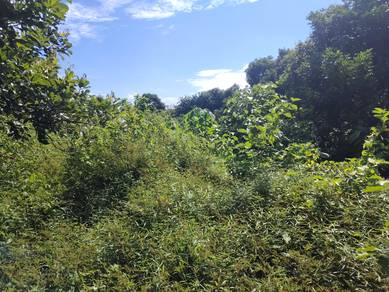 BUMI 😊300 metres dari SURAU  2.04ac KPG PAK DOLAH near KMTG TOLL