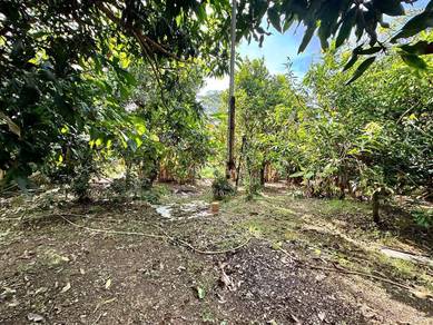 TANAH BANGUNAN + KEBUN‼️ELEKTRIK AIR ON‼️1 NAMA 8719sqft‼️DEKAT PEKAN‼