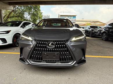 Lexus NX250 2.5 P/Roof Mark Levinson 360 BSM