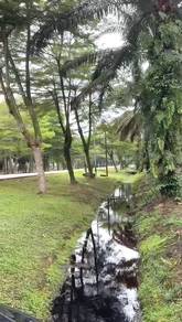 Johor Pontian Pekan Nanas 12 Acres Zoning Industrial Land For SALE
