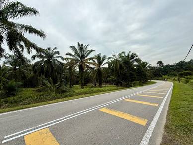 Johor Pontian Pekan Nanas 26 Acres Zoning Residential Land for SALE