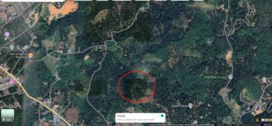 3 Lots Durian Farm & Others Fruit Land For Sales:
